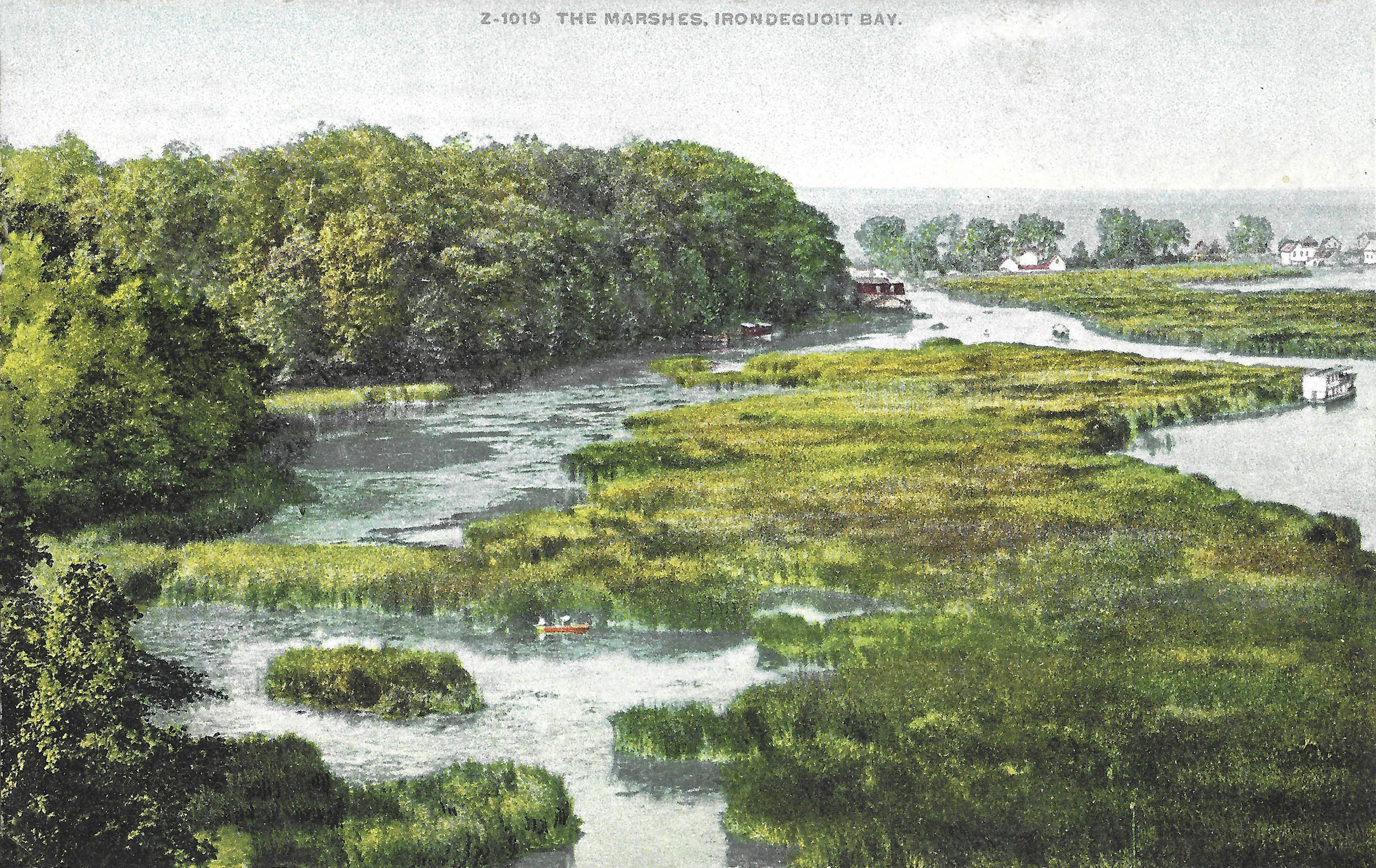 Marshes on Irondequoit Bay