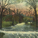 Allen's Creek (#3)