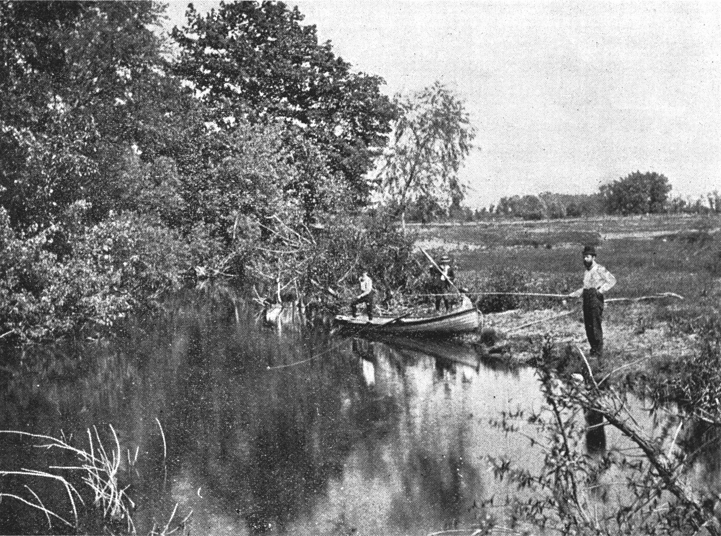 Black Creek - Fishing