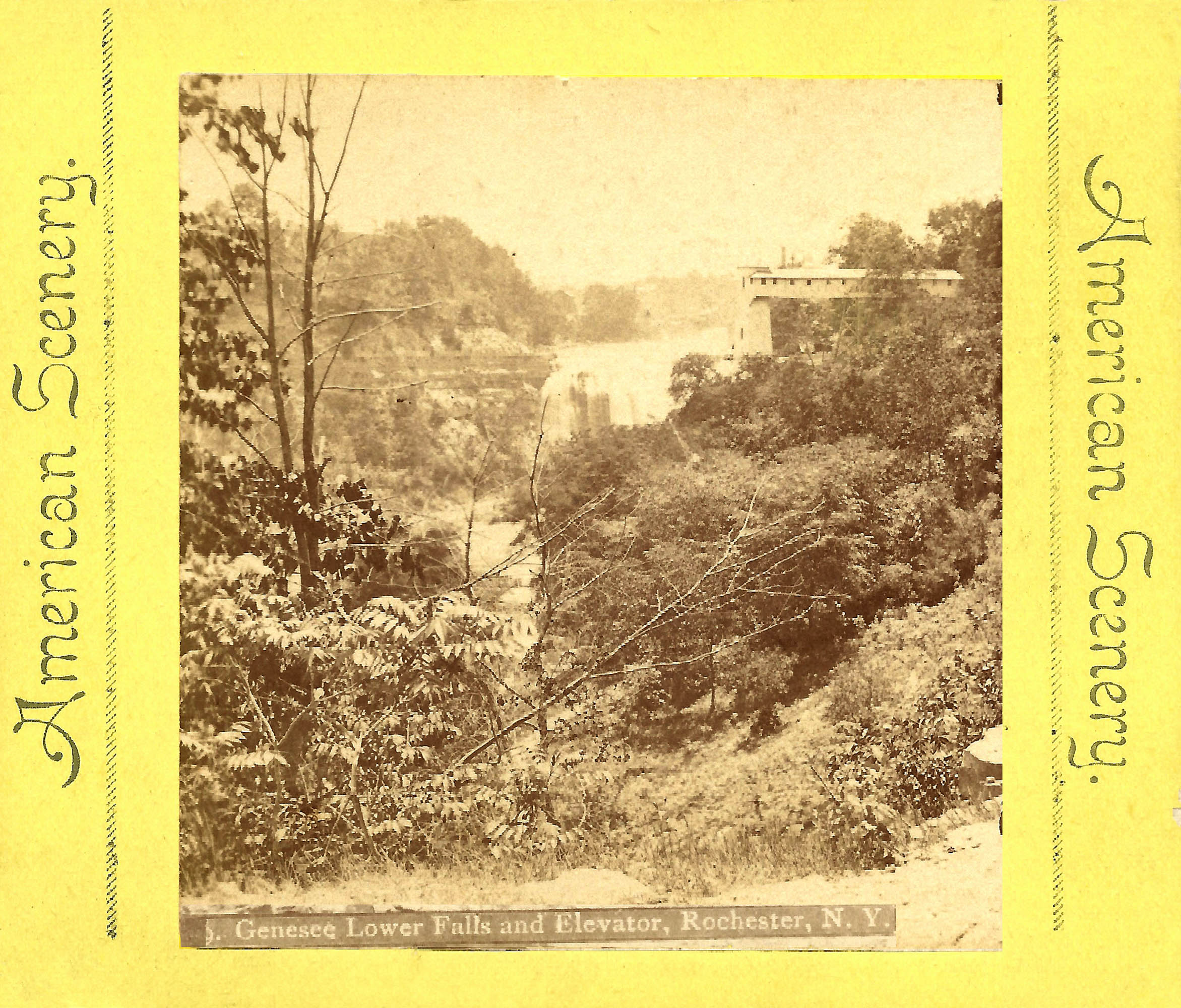 Genesee River View (#23)
