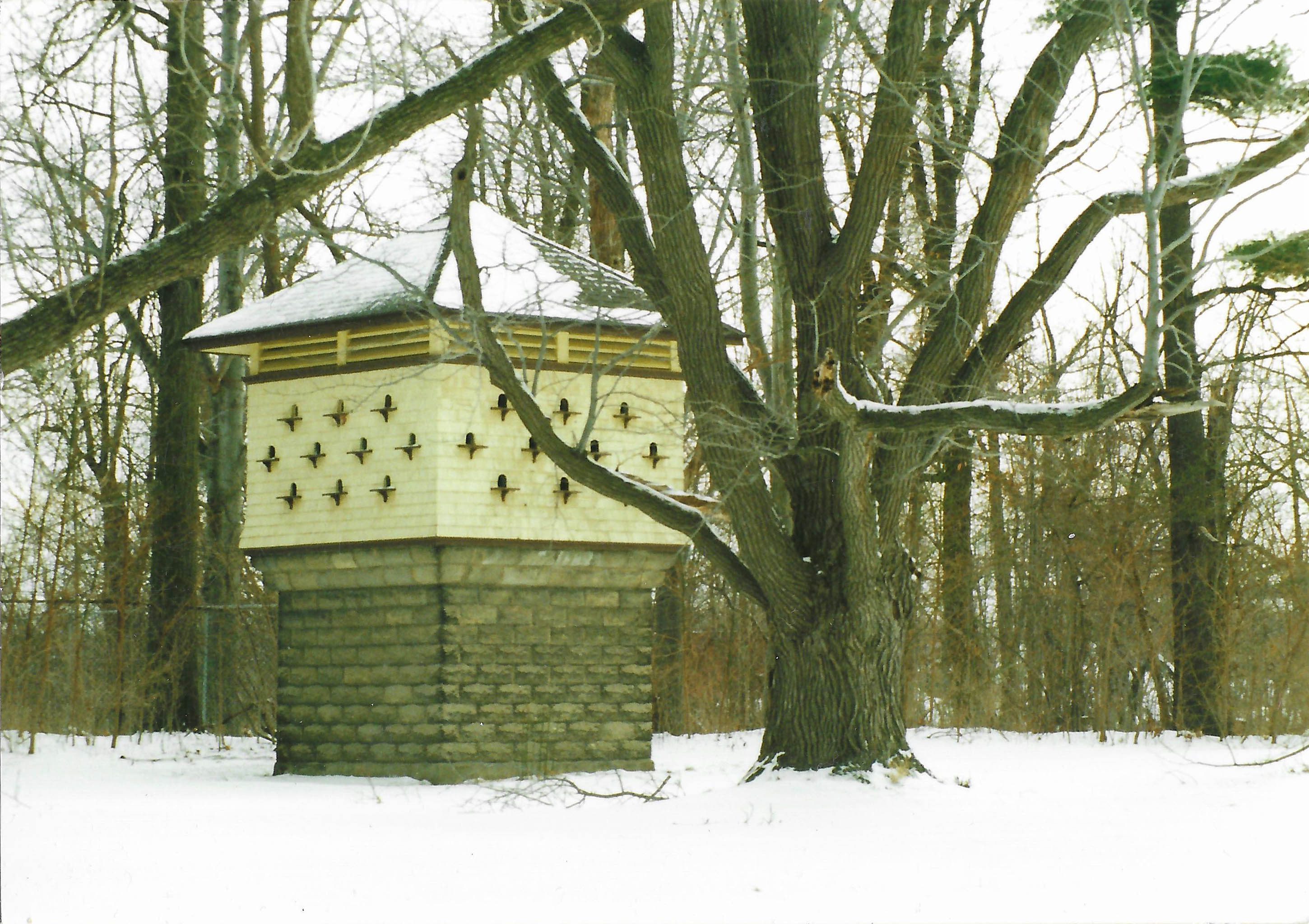 Dovecote - Winter