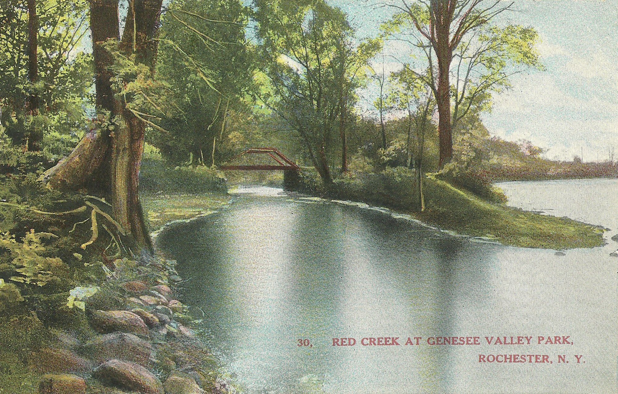 Red Creek (#4)