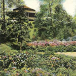 Flowers and Pavilion