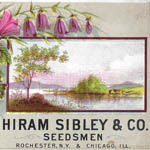 Hiram Sibley & Co. - Seeds (#2)