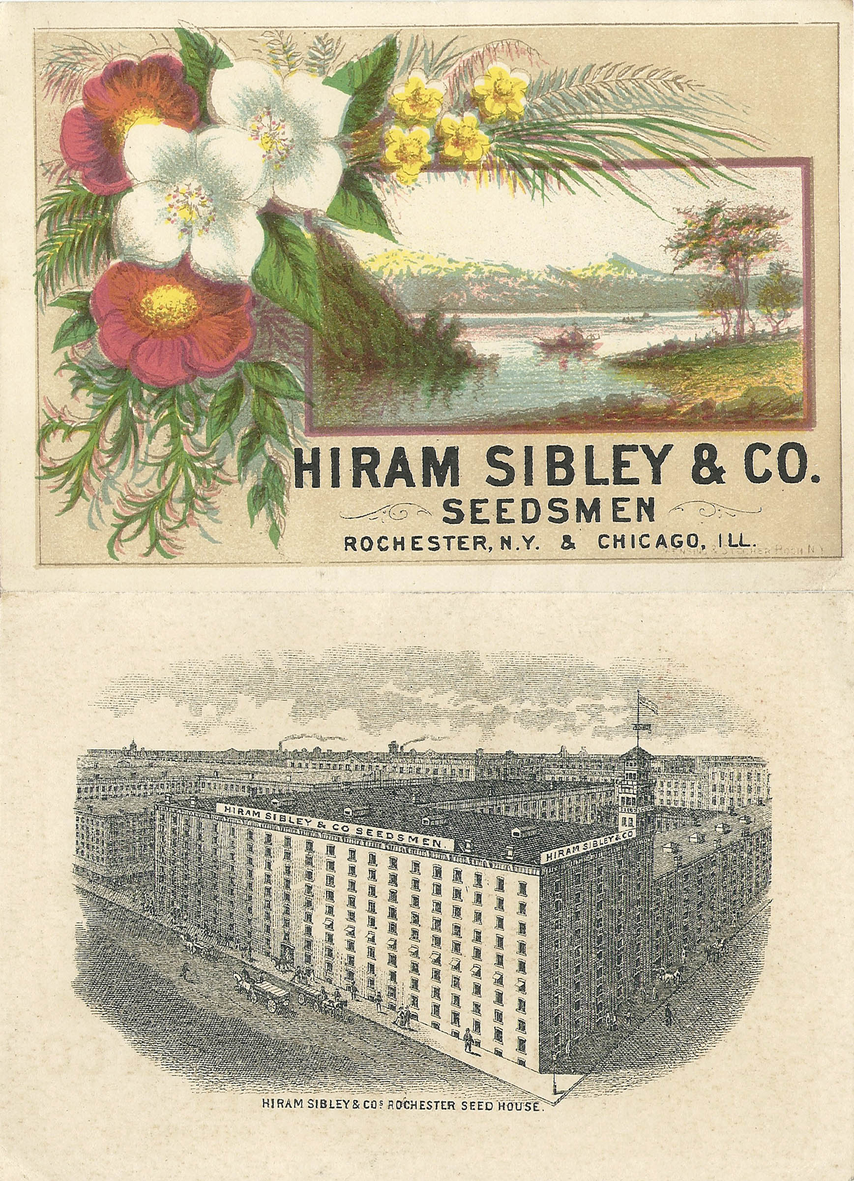 Hiram Sibley & Co. - Seeds (#1)