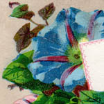 B. F. Martin (#3) - Tea