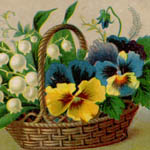 Odenbach & Shale - Furriers (#7)