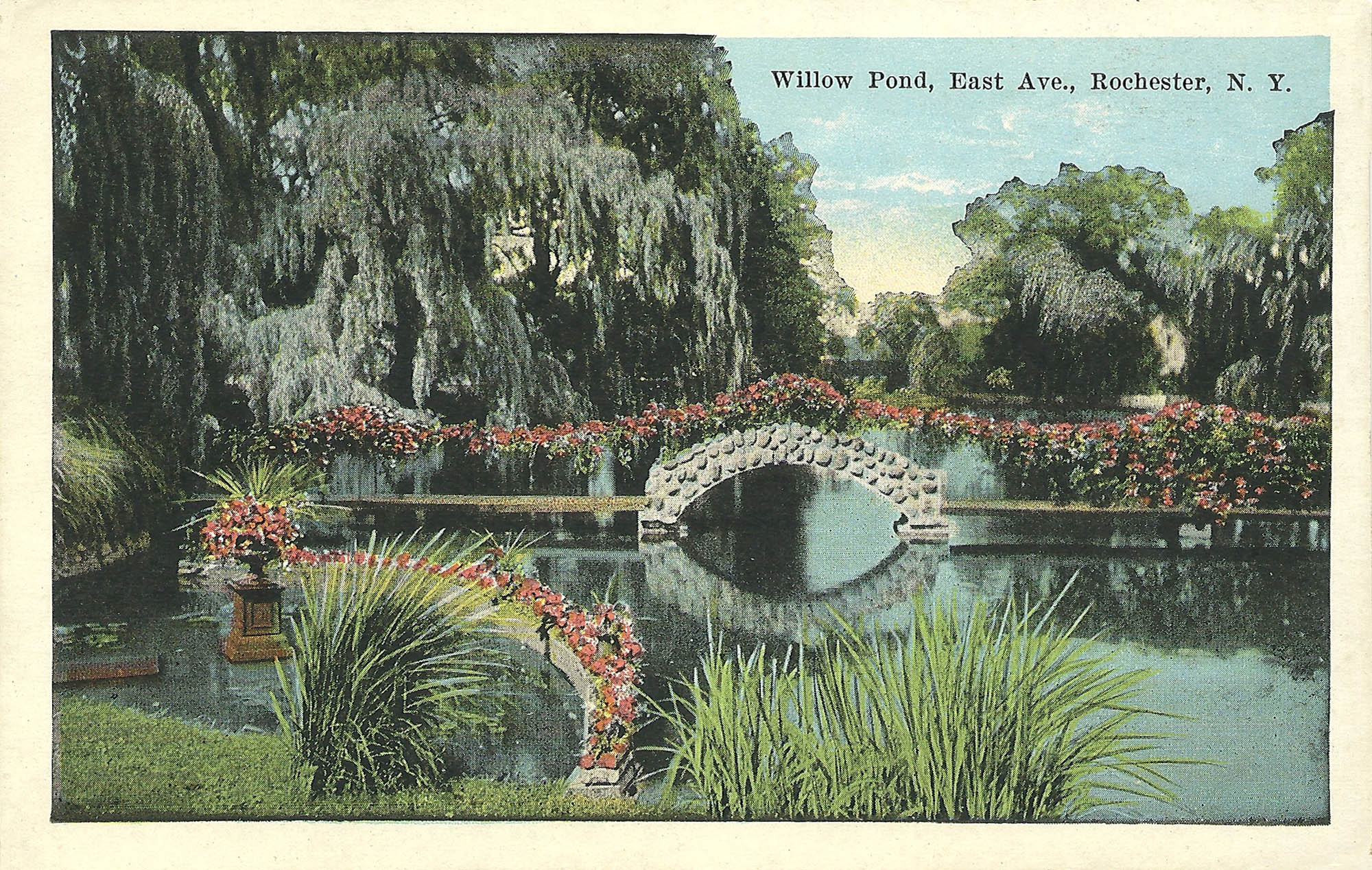 Willow Pond, East Ave. (#9)