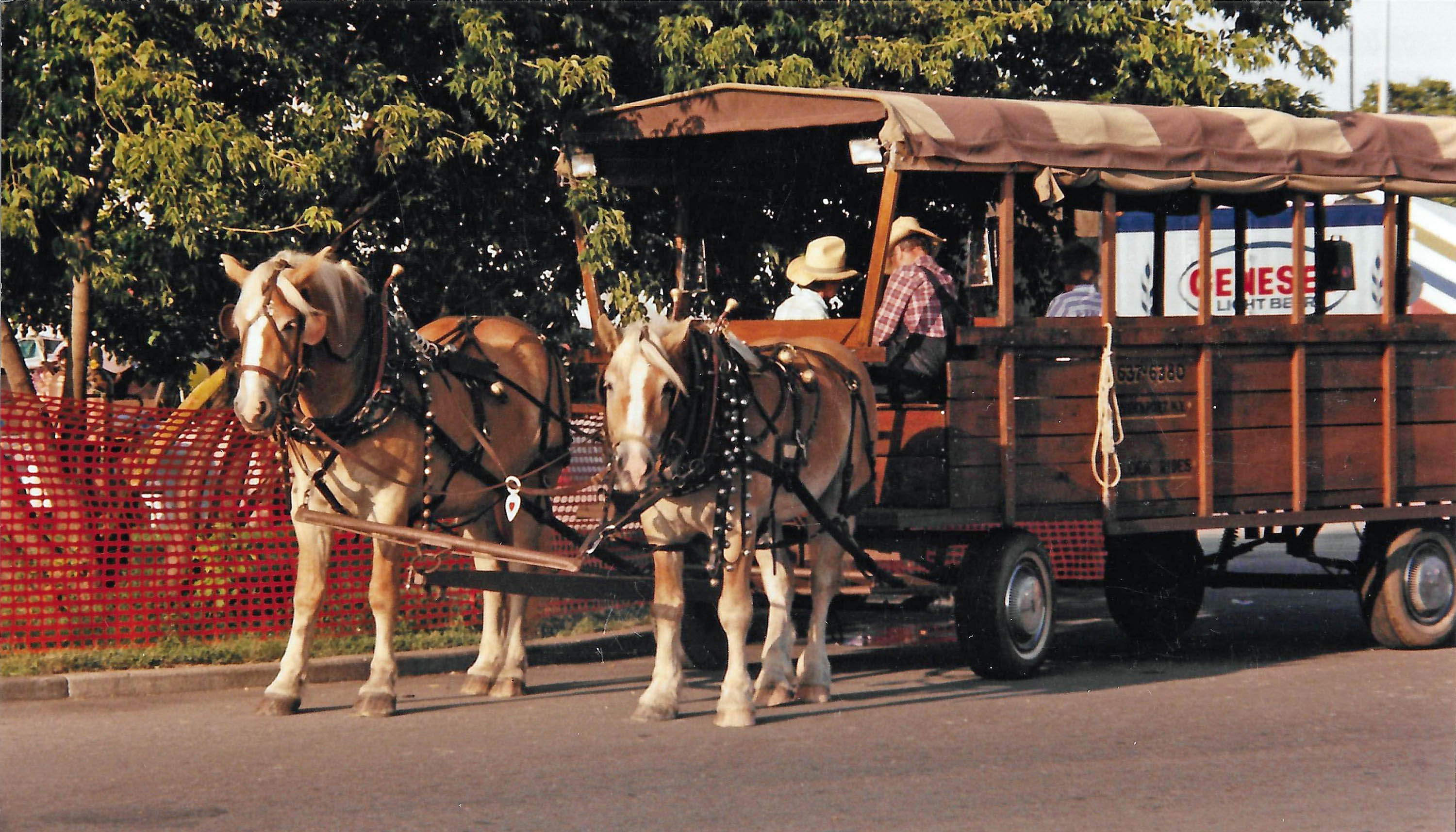 Wagon Ride, McCracken Farms, Brockport